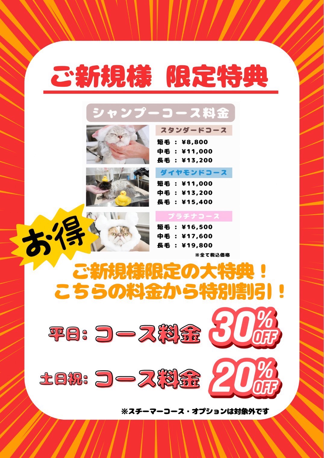 にゃん汰さま専用ページ にゃん汰【返信🐢Lv.100】 (@nyanta_0022) / Posts / X